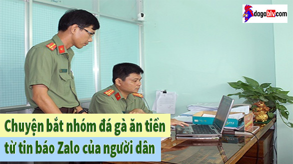 Chuyện bắt nhóm đá gà ăn tiền từ tin báo Zalo của người dân