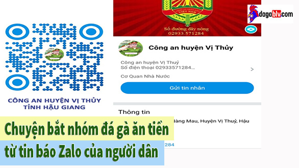 Chuyện bắt nhóm đá gà ăn tiền từ tin báo Zalo của người dân