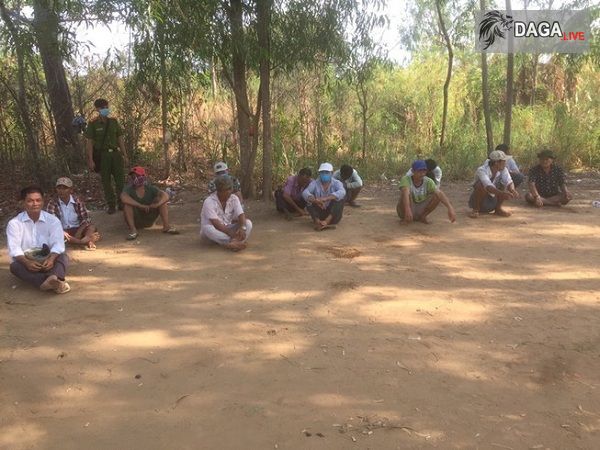 15 đối tượng tham gia đá gà ăn tiền tại Tiền Giang bị bắt giữ