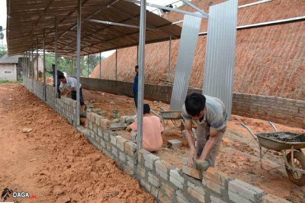 Những quả ngọt mà ông nhận được từ việc nuôi gà