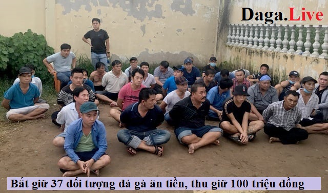 Bắt giữ 37 đối tượng đá gà ăn tiền, thu giữ 100 triệu đồng