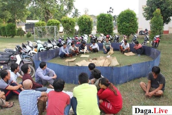 Các đối tượng bị bắt giữ ở vụ việc đá gà trên