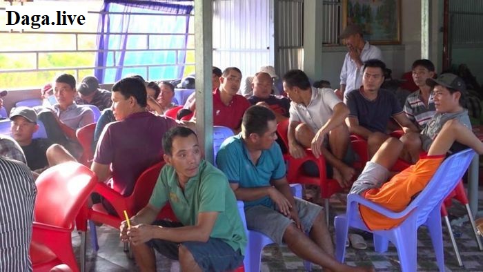 An Giang triệt phá ổ cá cược đá gà online