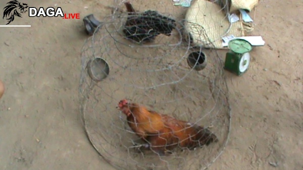 Tang vật thu giữ trong quá trình vây bắt tổ chức online trái phép