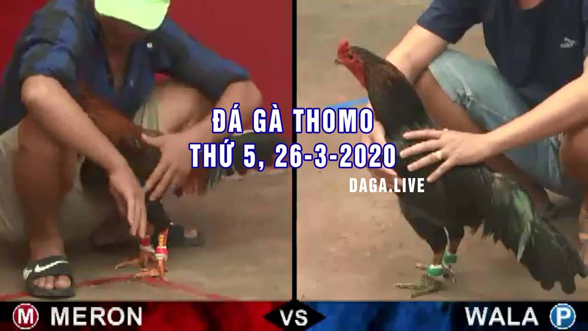 DAGA.LIVE - Đá gà thomo hôm nay, đá gà campuchia, đá gà cựa sắt, đá gà trực tiếp thứ 5 ngày 26-3-2020