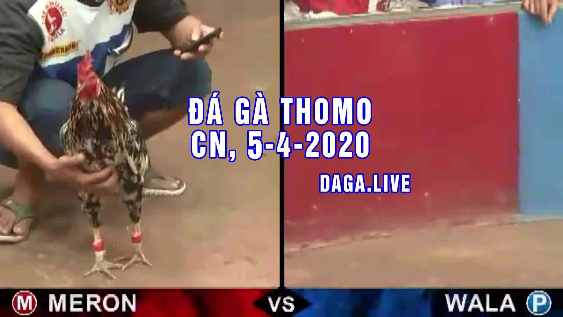 DAGA.LIVE - Đá gà trực tiếp thomo hôm nay, đá gà thomo, đá gà campuchia, đá gà cựa sắt chủ nhật ngày 4-4-2020