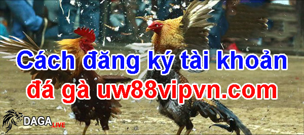Cách đăng ký tài khoản đá gà uw88vipvn.com