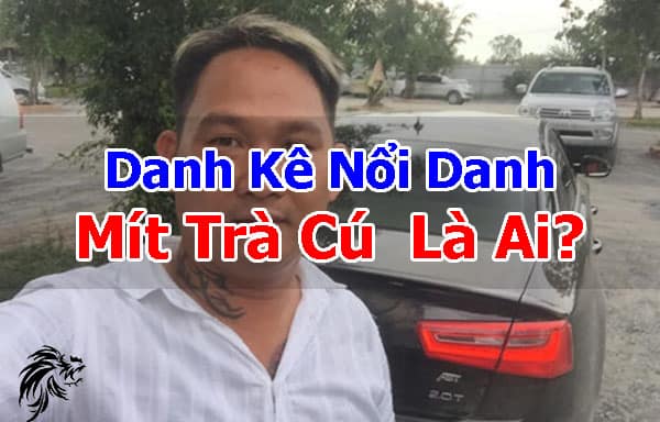 Mit-Tra-Cu-Danh-Ke-Co-Tieng-Tai-Dau-Truong-Thomo