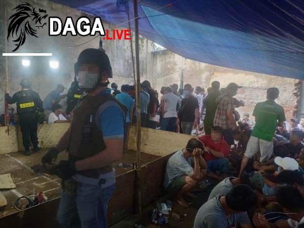 Các đối tượng tổ chức đá gà trái phép