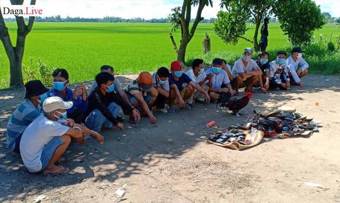 Hình ảnh các đối tượng trên bị bắt vì tụ tập đá gà ăn tiền