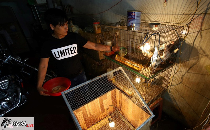 Lò ấp trứng được anh Hiền đầu tư khá hiện đại