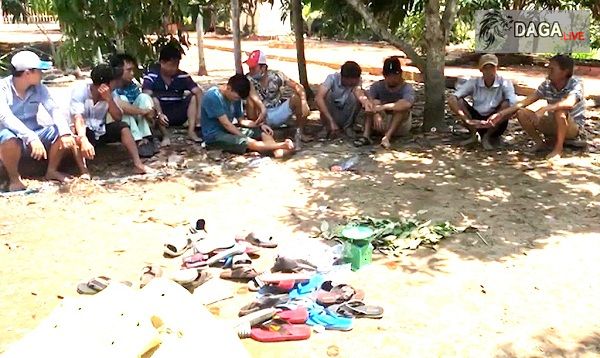 Bắt giữ hàng chục đối tượng đá gà liên tỉnh