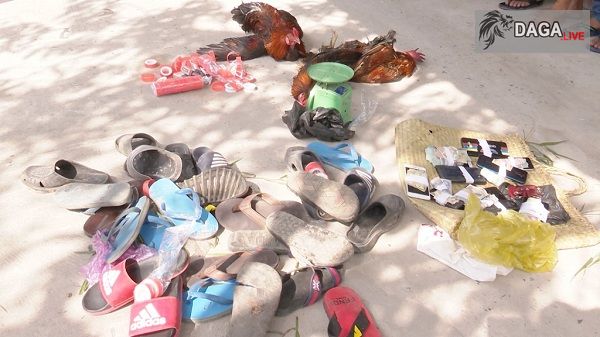 Bắt giữ hàng chục đối tượng đá gà liên tỉnh