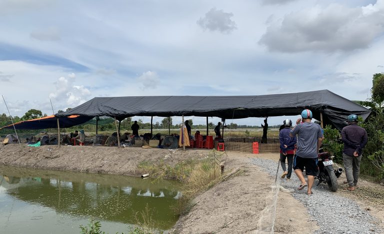 triệt phá sới gà huyện tân hưng