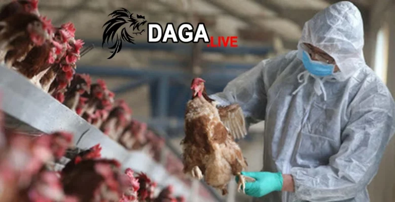 Top 5 loại thuốc trị bệnh giun kim ở gà hiệu quả nhất