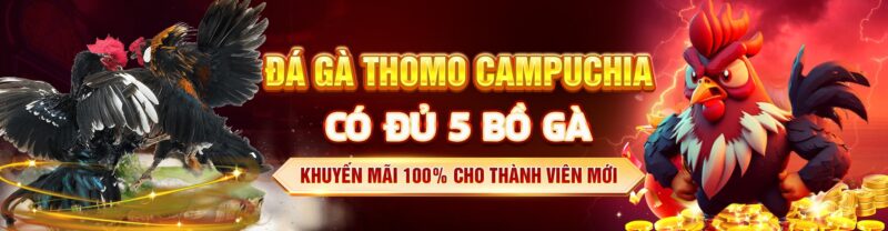 cac-bo-ga-truc-tiep-tai-dagalive