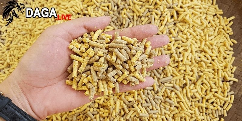 Sử dụng cám gà đá phải tuân thủ theo hướng dẫn