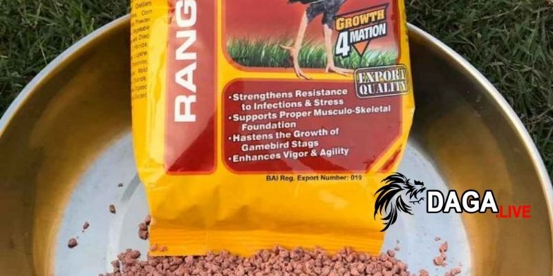 Cám dinh dưỡng cho gà Stag Developer 1+ lý tưởng
