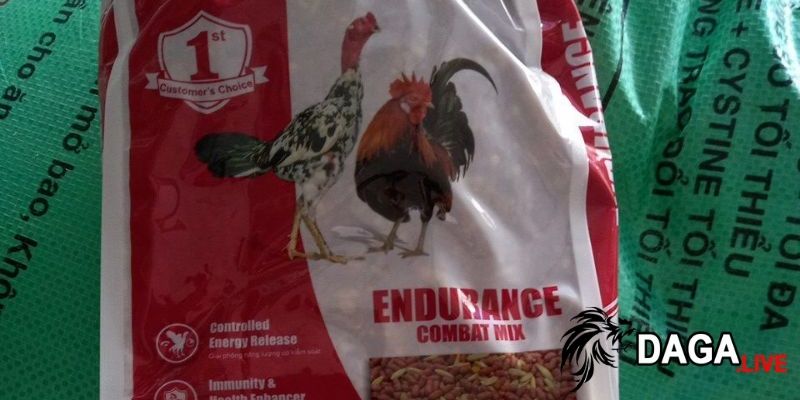 Cám gà đá hot Maxwin đáng lựa chọn