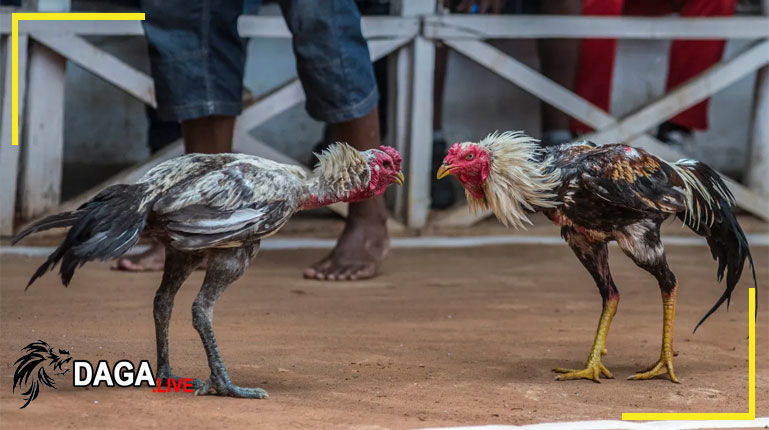 chơi có trách nhiệm