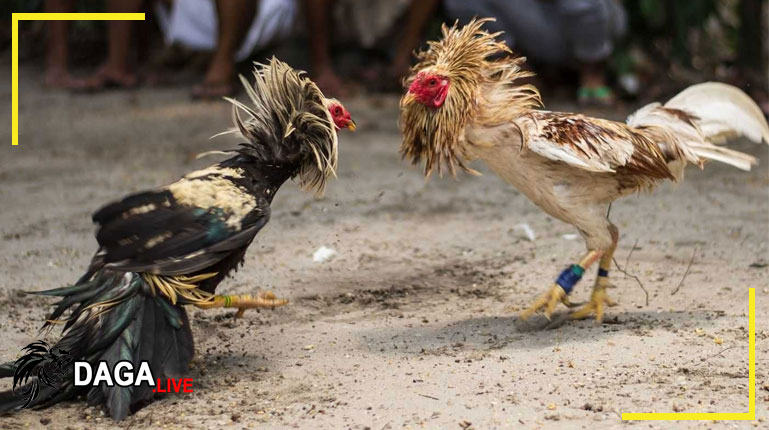 Những vấn đề cần lưu ý và cách khắc phục