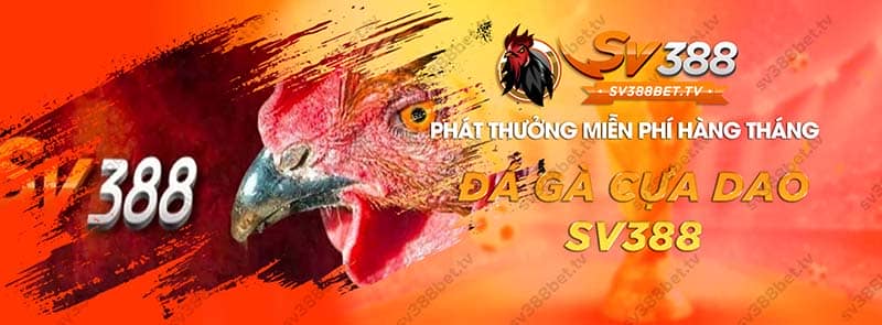 da-ga-cua-dao-sv388-1