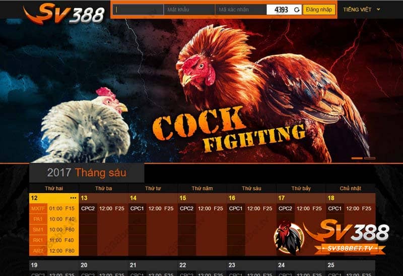 da-ga-cua-dao-sv388-bet