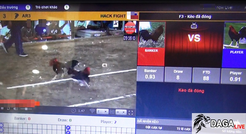 các cược đá gà