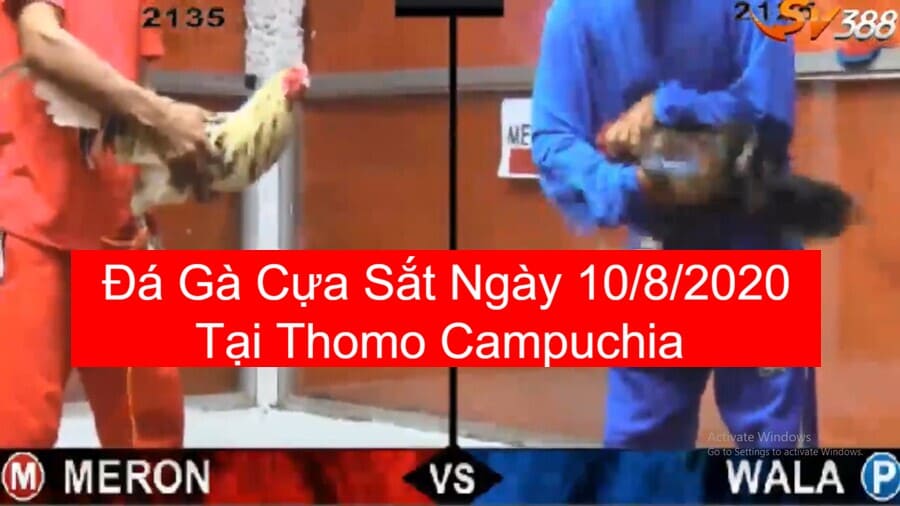 da-ga-truc-tiep-10-8-2020