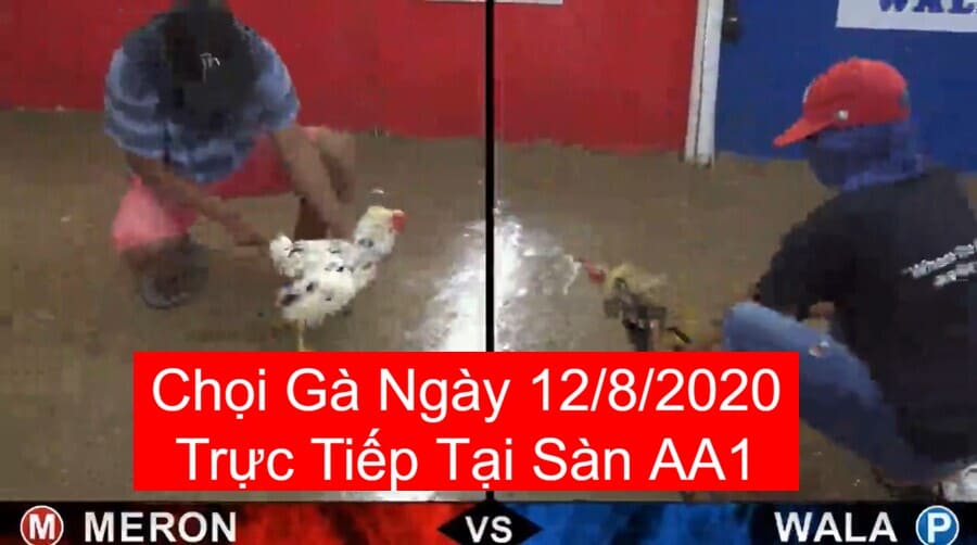 da-ga-truc-tiep-12-8-2020