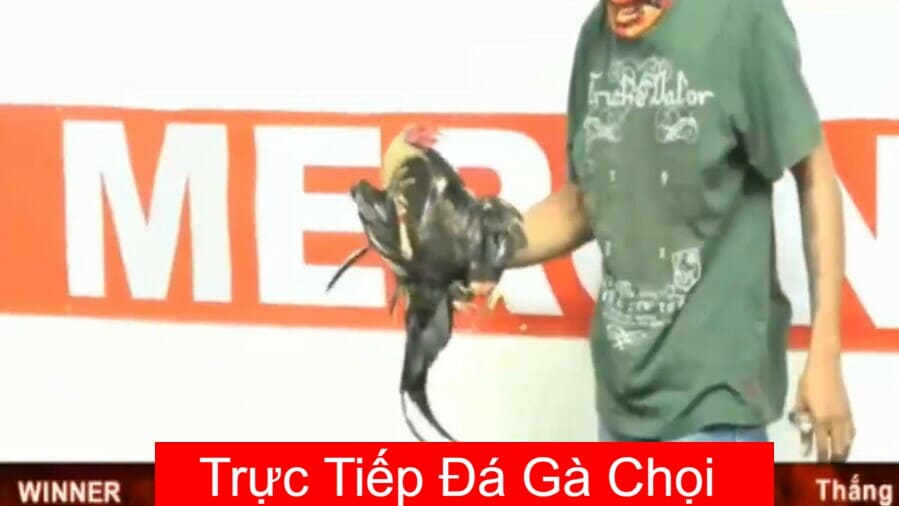 da-ga-truc-tiep-2-8-2020