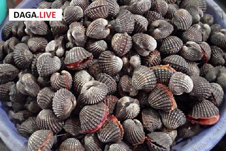 Bổ sung thêm các thức ăn dinh dưỡng giàu canxi như sò, ốc giúp gà mau lành vết thương.