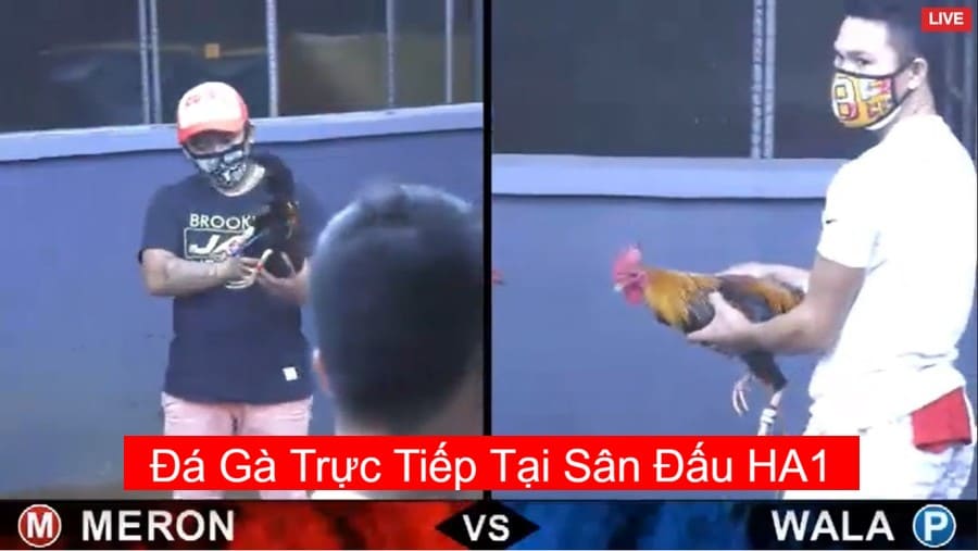 da-ga-truc-tiep-27-7-2020