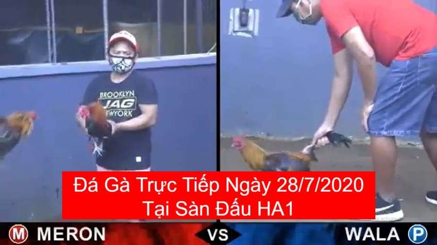 da-ga-truc-tiep-28-7-2020