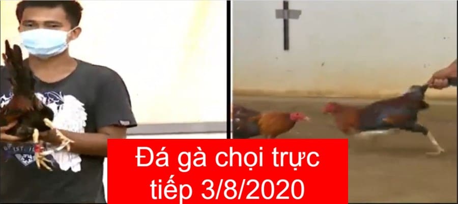 da-ga-truc-tiep-3-8-2020