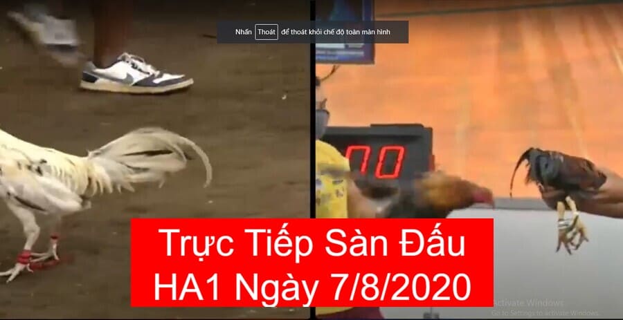da-ga-truc-tiep-7-8-2020