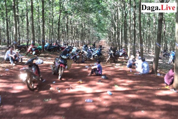 Bình Phước: Triệt phá đường dây đá gà ăn tiền trong lô cao su