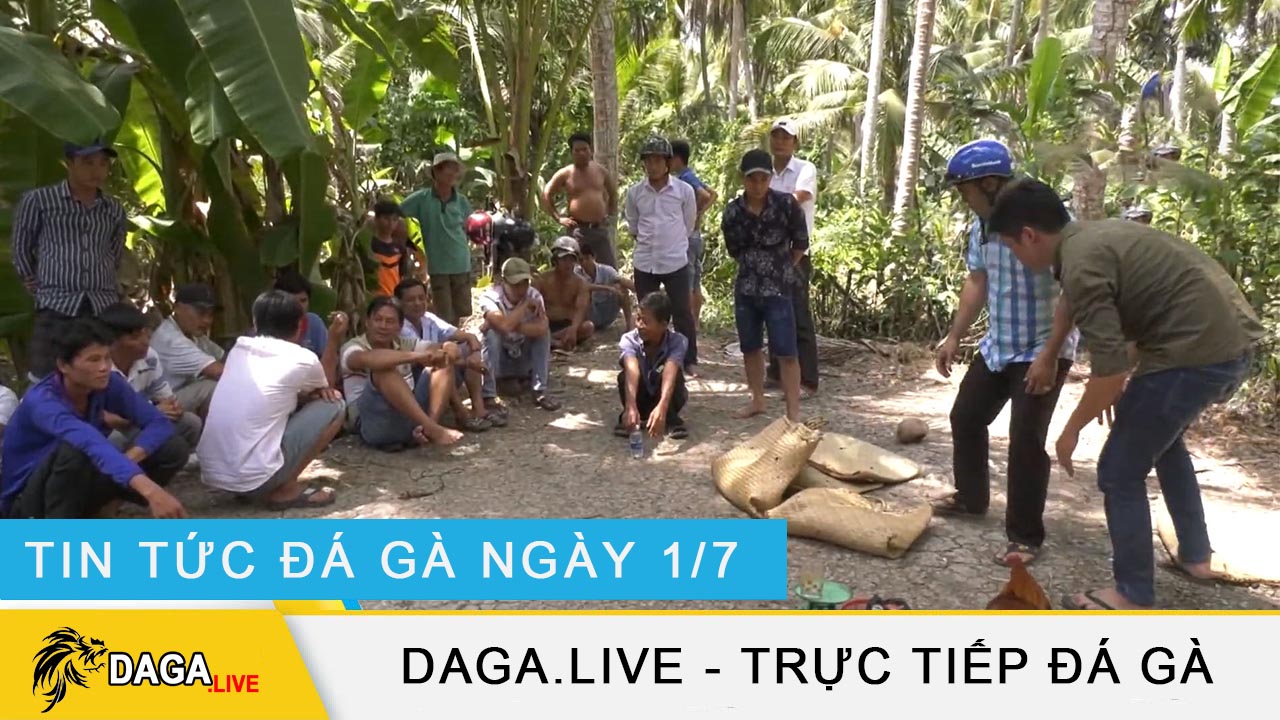 dagalive-tin-tuc-da-ga-1-7