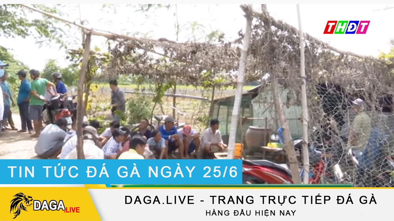 dagalive-tin-tuc-da-ga-25-6