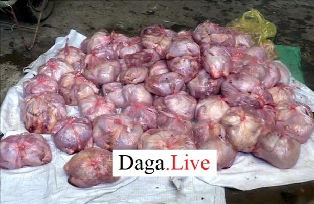 thịt gà tiêu hủy