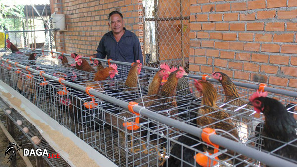 làm chuồng gà đơn giản