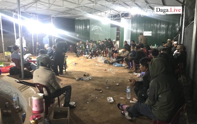 Tin tức đá gà gia lai