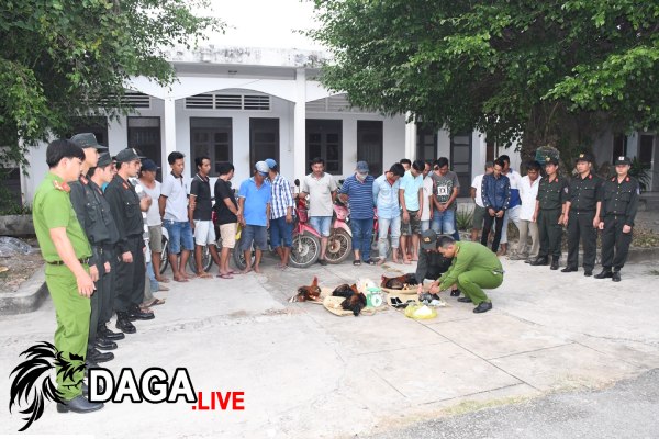 phá ổ tụ điểm chơi đá gà