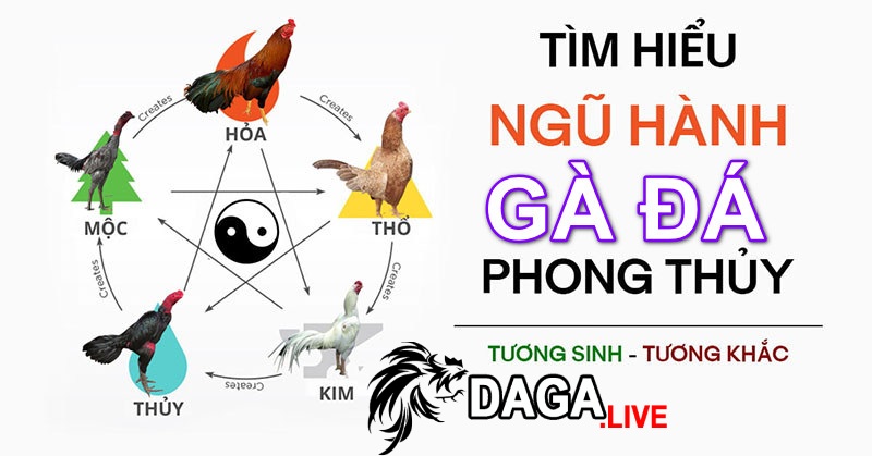 Tìm hiểu ngũ hành trong màu mạng đá gà