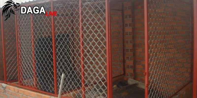 Một số lưu ý khi thiết kế môi trường sống của gà