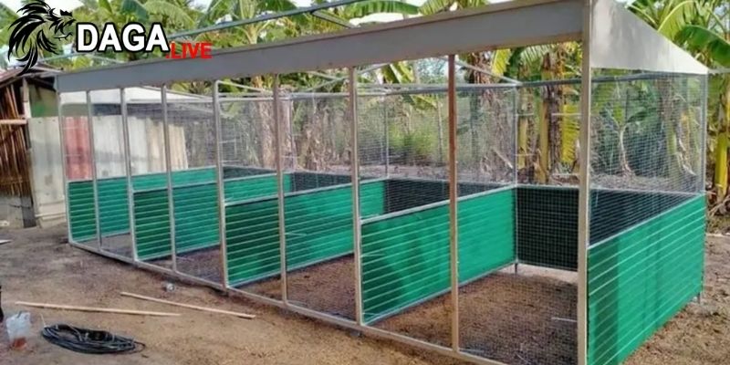 Tính chắc chắn và an toàn của chuồng