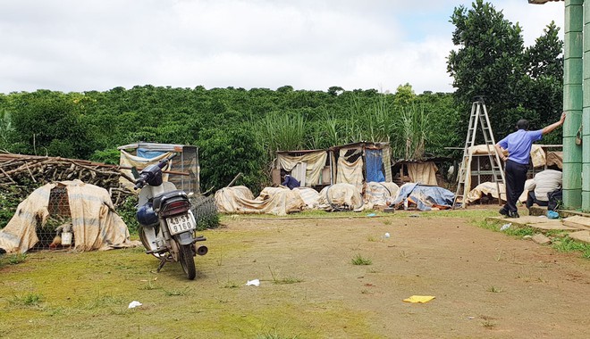 Nhóm ninja đâm chết người nuôi gà chọi