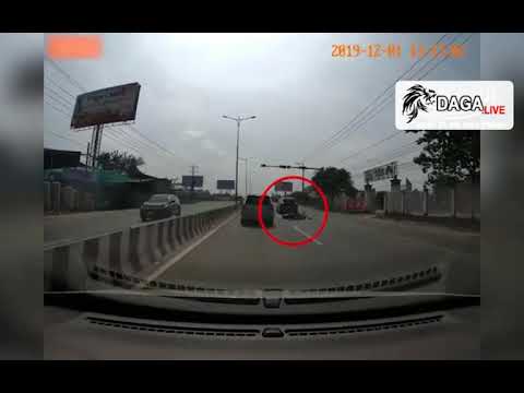 ôm gà chọi chạy xe