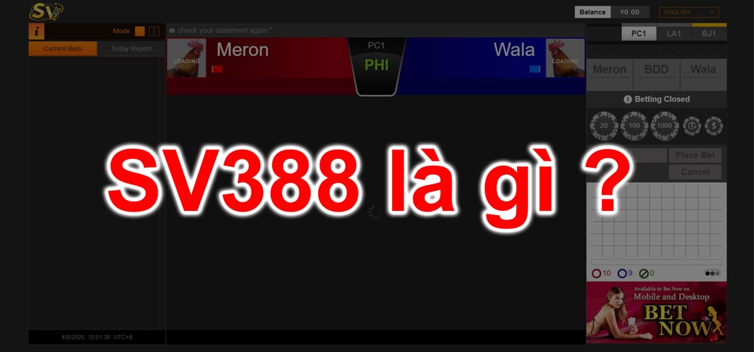 Sv388 là ai ? Giới thiệu đá gà sv3888 .com .net
