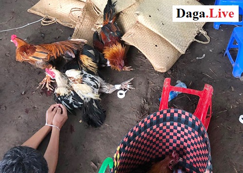 Tang vật tai hiện trường